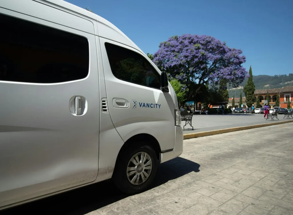 White van parked outdoors on a sunny day near a stunning purple-flowered tree.